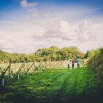 1.5-Hour Swanaford Vineyard Tour And Tasting Experience - What Visitors Love Most