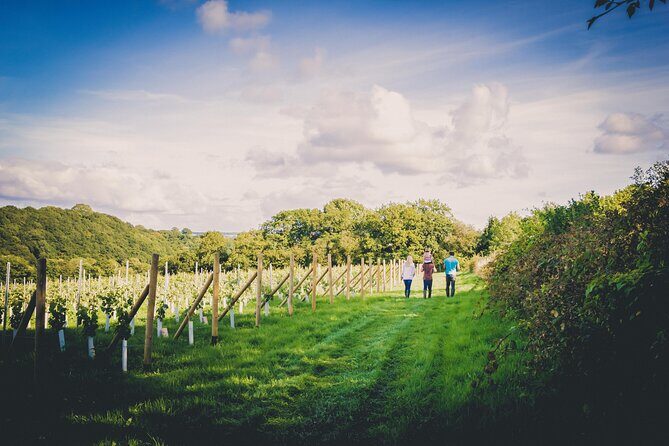1.5-Hour Swanaford Vineyard Tour And Tasting Experience - What Visitors Love Most