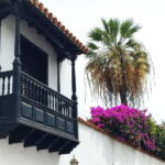 1.5-hour walking tour of Puerto de la Cruz, Tenerife. - The Route: From Pier to Historic Landmarks