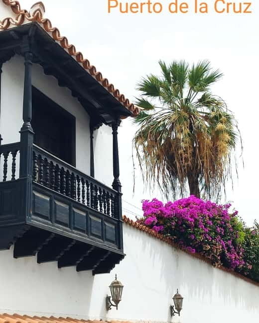 1.5-hour walking tour of Puerto de la Cruz, Tenerife. - The Route: From Pier to Historic Landmarks
