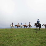 1 Day Horse Riding Adventure in Borjomi Mountains - What Makes This Tour Stand Out