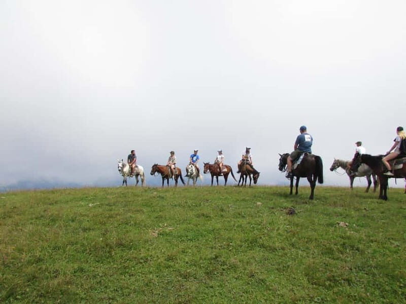 1 Day Horse Riding Adventure in Borjomi Mountains - What Makes This Tour Stand Out