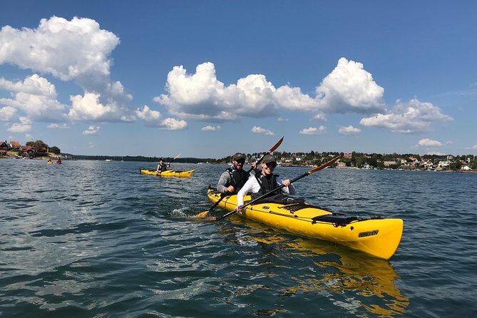 1-Day Small-Group Stockholm Archipelago Kayak Tour - Analyzing the Value and Overall Experience