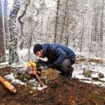 1-Day Small-Group Stockholm Nature Hiking - What We Loved About This Tour