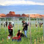 1-Day tour to Aragatsotn Wine region and Wine Route. - What’s Included and How It Adds Value