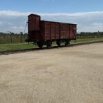 1 Day Trip Auschwitz-Birkenau Memorial and Museum Guided Tour from Krakow - Who Is This Tour Best Suited For?
