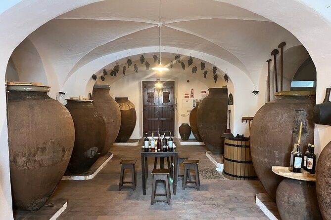 1 Day Wine Tour Around Évora - Frequently Asked Questions