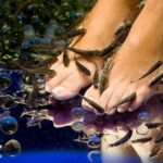 1-Hour Aroma Oil Massage plus 20-Minute Free Fish Pedi - The Sum Up