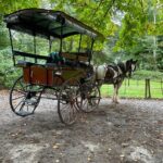 1 Hour Guided Carriage Tour in Killarney National Park - Who Would Love This Tour?