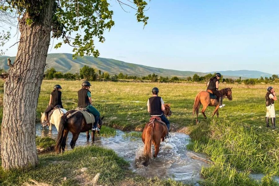 1-Hour Horse Riding Tour at Palomino Ranch Near Tbilisi - What to Expect from Your Horseback Ride