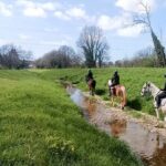 1 hour horseback ride in Valgraziosa Pisa - The Value & Practical Considerations