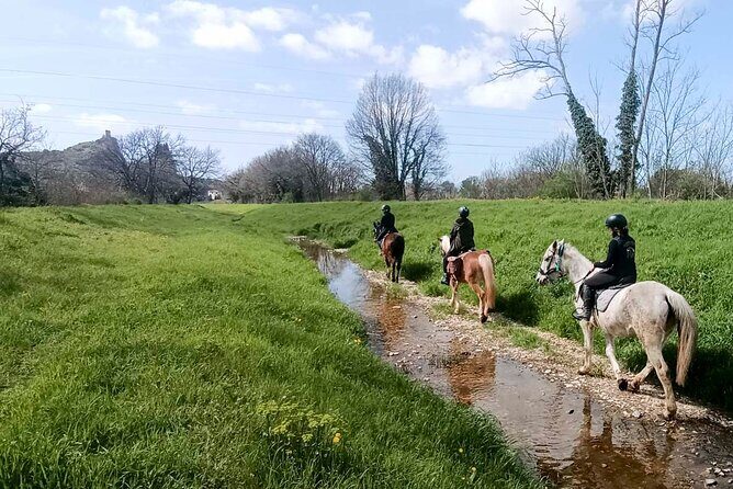 1 hour horseback ride in Valgraziosa Pisa - The Value & Practical Considerations