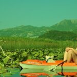1-hour Kayak Adventure through Skadar Lake from Virpazar - The Value of This Tour
