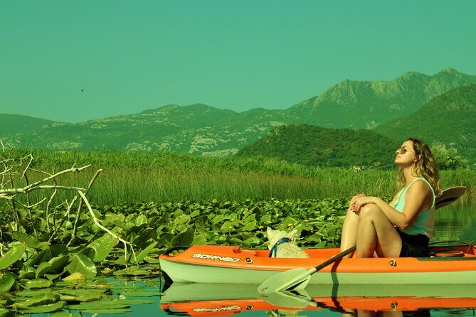1-hour Kayak Adventure through Skadar Lake from Virpazar - The Value of This Tour