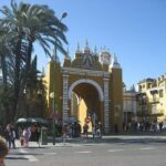 1 Hour Private Chiromassage Session in Seville - Who Will Love This Experience?