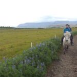 1+ hour Private Horse riding tour from Reykjavík/Mosfellsbær - Final Thoughts: Is This Tour Worth It?