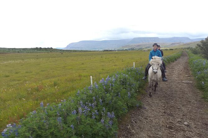 1+ hour Private Horse riding tour from Reykjavík/Mosfellsbær - Final Thoughts: Is This Tour Worth It?