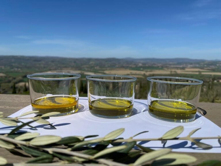 1-Hour Private Tour of the Oil Mill with Tasting - Deep Dive into the Production Process