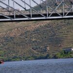 1-Hour Rabelo Boat Trip in Pinhão - The Full Breakdown: What to Expect from Your Rabelo Boat Trip