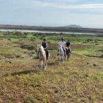 1 hour relaxing horse riding tour in Gran Canaria - The Countryside Ride