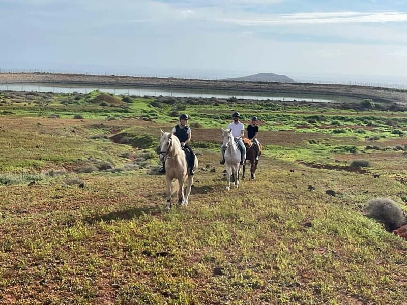 1 hour relaxing horse riding tour in Gran Canaria - The Countryside Ride