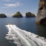 1-Hour Small Group Sightseeing Boat Tour in Vestmannaeyjar - The Sum Up