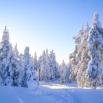 1-Hour Snowmobile Safari Adventure in Rovaniemi - Final Thoughts: Is It Worth It?