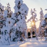 1-Hour Snowmobile Safari Experience - Who should consider this tour?