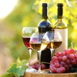 11 Course Lunch with Cooking Mastery and Wine Tasting in Rhodes - Who Should Consider This Tour?