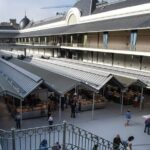 12h Porto Tour from Lisbon in Mercedes de Luxo - Authentic Experiences and Practical Insights