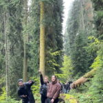 13 km hiking tour from Kutaisi to Borjomi - What’s Included and What to Bring