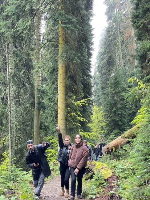 13 km hiking tour from Kutaisi to Borjomi - What’s Included and What to Bring