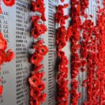 2-Day Gallipoli Tour from Istanbul - Small Group - What to Expect from Your Trip