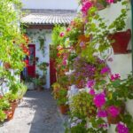 2-Day Guided Tour to Cordoba and Seville from Madrid - Final Thoughts