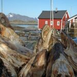 2-Day Lofoten Highlights Photo Tour (Summer) - What Makes This Tour Stand Out?