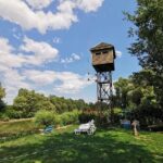 2 Days in the Danube Delta and Constanta city at the Black Sea - Who Would Love This Tour?