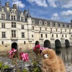 2-Days Private Guided Tour in Loire Valley Castles & Wine Tasting - FAQ