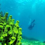 2 Dives Package - The Itinerary: A Closer Look