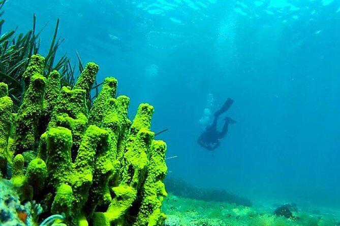 2 Dives Package - The Itinerary: A Closer Look