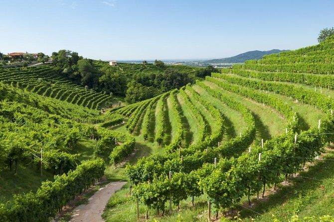 2 Guests Private Prosecco Road Tour All Inclusive from Conegliano - An In-Depth Look at the Tour Experience