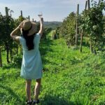 2 Guests Private Prosecco Road Tour All Inclusive from Venice - What You Can Expect from the Experience