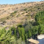 2-Hour Botanic Garden Tour in Akoursos - Who Should Book This Tour?