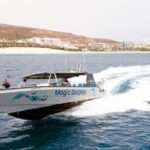 2-Hour Dolphin Watching Experience in Fuerteventura - FAQ