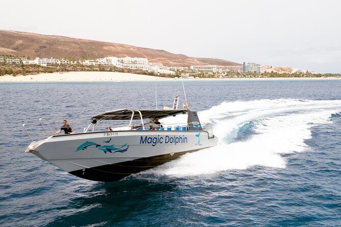 2-Hour Dolphin Watching Experience in Fuerteventura - FAQ