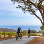 2-Hour e-bike Tour with Wine Tasting in Tenuta delle Ripalte - Practical Aspects and Value