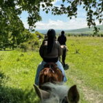 2-hour horse riding tour at Palomino Ranch Near Tbilisi - What to Expect from the Tour