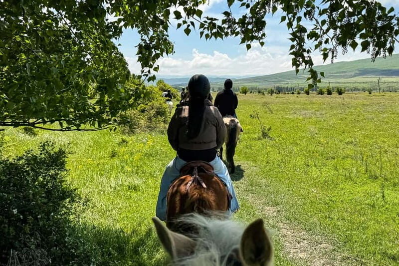 2-hour horse riding tour at Palomino Ranch Near Tbilisi - What to Expect from the Tour