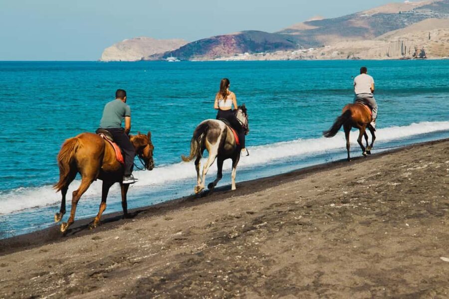2-Hour Morning Horse Ride with Professional Photos - Practical Details and Tips