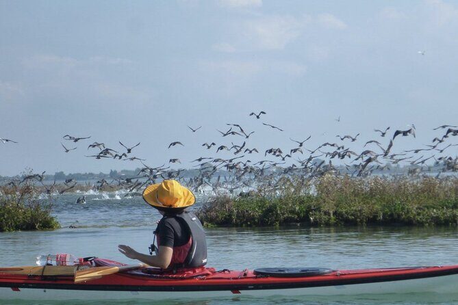 2 Hour Night Kayak Tour in Venice, premium experience with sunset - Who Will Love This Tour?
