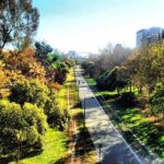 2 Hour Private Bike Tour in Valencia - Who Will Love This Tour?